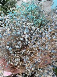 -斐尔国际皮肤管理中心