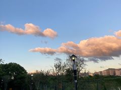 -立新湖公园