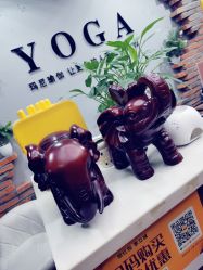 点击看大图 -玛尼瑜伽·普拉提