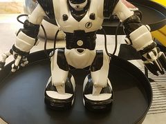 -珠海横琴长隆《卡卡虎奇遇记》