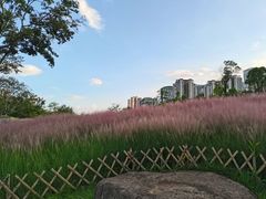 -牛岗山公园