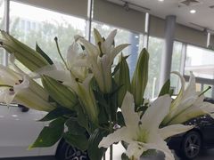 -奔驰利星行(北京花乡店)