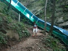 -王顺山国家森林公园