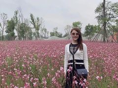 -三圣花乡旅游区