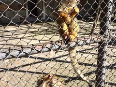 iphone_upload_pic-哈尔滨北方森林动物园