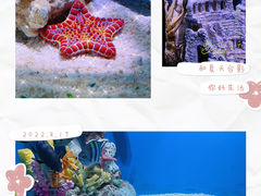 -上海海昌海洋公园