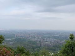 -杭州半山国家森林公园