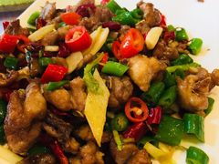 铁板双椒鸡-西新饭店(城中店)