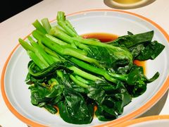 -九毛九西北菜(百信广场店)