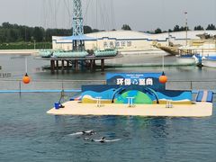 -秦皇岛乐岛海洋王国