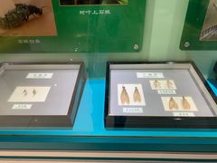 -上海昆虫博物馆