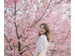 -天适樱花悠乐园