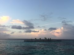 -中央格兰德岛温泉度假酒店 - 全包