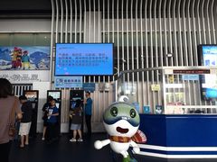 -绍兴启迪乔波冰雪世界