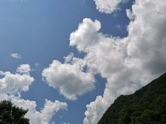 -牛背梁国家森林公园