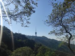 -梧桐山风景名胜区