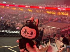 -大连体育中心体育馆