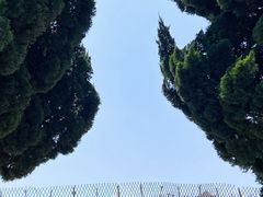 -小麦岛公园
