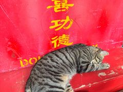 -龙华素斋(龙华路店)