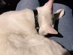 -Doors独立剧情密室(东门分店)