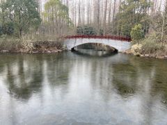 -东平国家森林公园