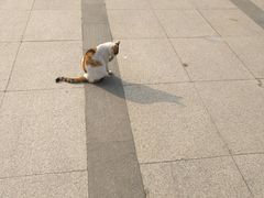 -苏州河梦清园环保主题公园