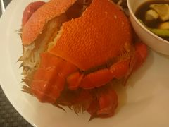 -天伦松鹤大饭店·欣妮咖啡