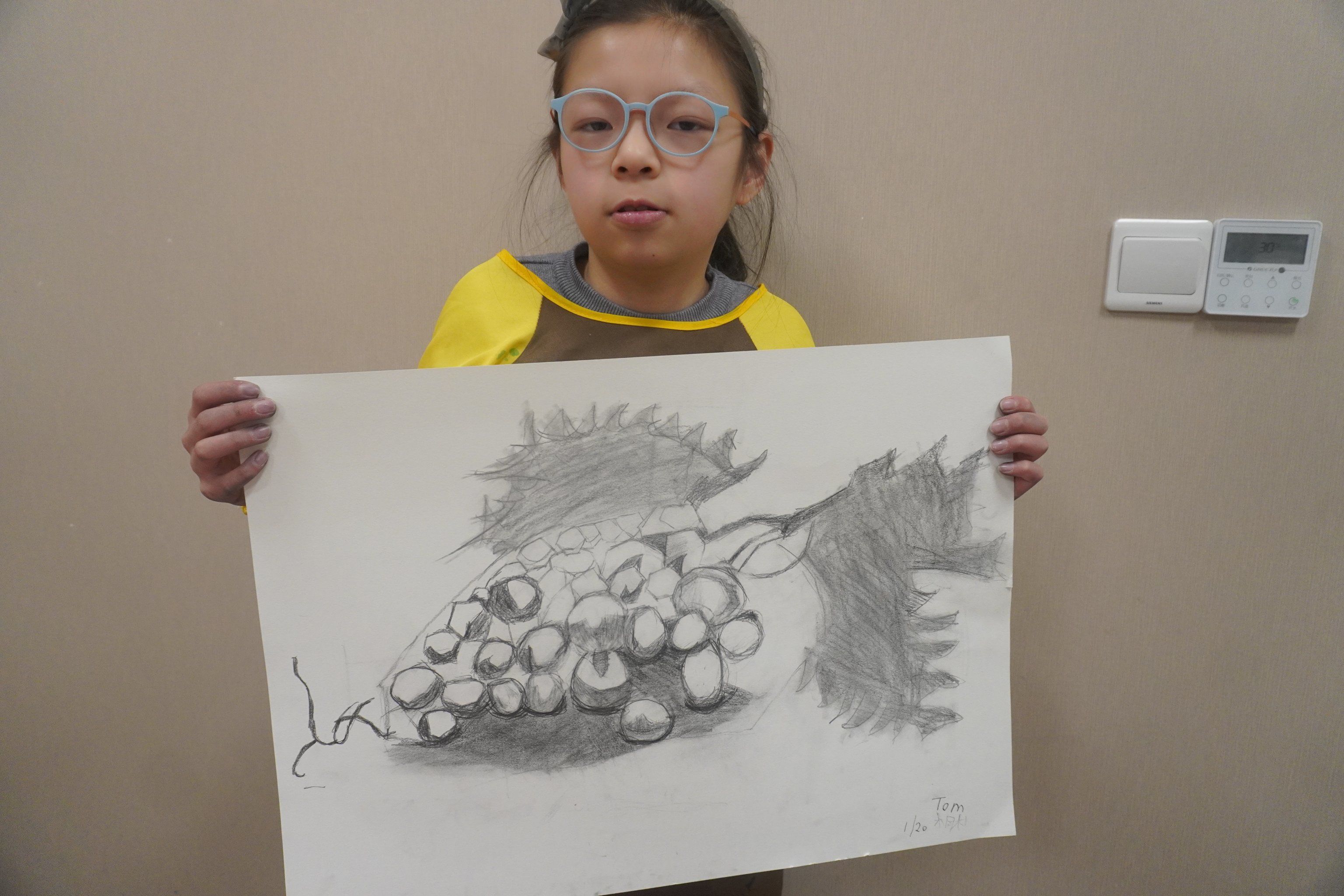 葡萄素描是静物素描中一个相对复杂但非常有趣的练习,它不仅考验学生