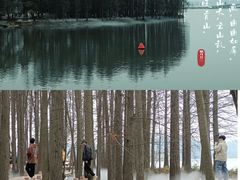 -东湖落雁景区