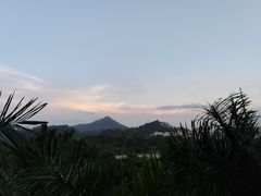 -番禺大夫山森林公园