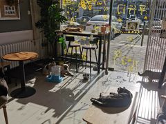 -平行世界·猫咖(首经贸店)