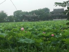 -高子水居