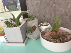 -蜜蜂小象·榴莲千层蛋糕(时代汇11栋店)