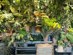 -自由生长植物工作室(深港花卉中心店)