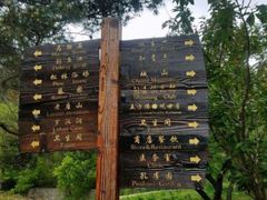 -金龙寺国家森林公园