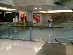-大悦城(沈阳中街店)