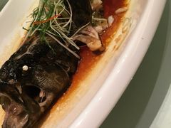 清蒸石斑鱼-人杰鱼乐轩(珠江路店)