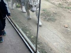 -临沂动植物园