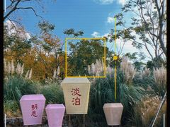 -上海山野camping·户外天幕烧烤·团建拓展营地