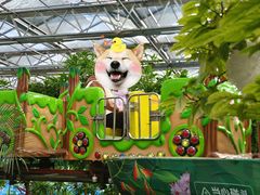 -南宫五洲植物乐园