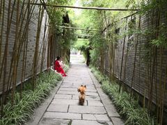 -龙潭水乡