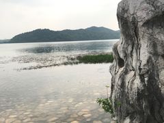 -东湖落雁景区