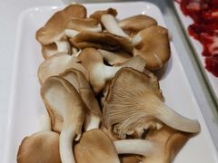 -古乐牛香·鲜牛肉牛杂火锅(吴江三里桥运东商业广场店)