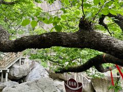 -洛阳白云山景区