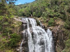 -海南热带雨林国家公园吊罗山景区