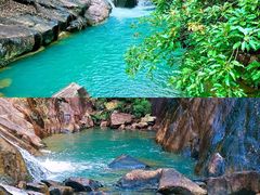 -广州白江湖森林公园