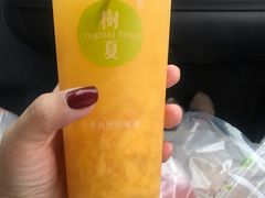 -树夏(鹭洲里店)