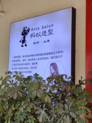 -蚂蚁造型沙龙