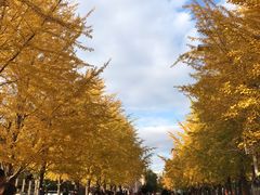 -辽宁大学(崇山校区)