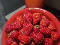 -上海青松城大酒店